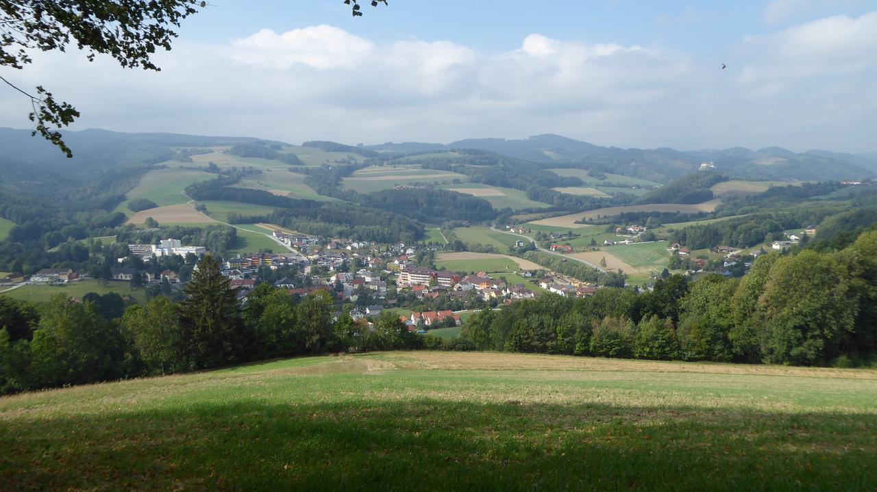 Bad Schönau Geniesserpension Dopler - Zur Schonen Au المظهر الخارجي الصورة